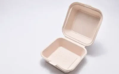 Top Reasons to Choose High-Quality Food Containers for Storage
