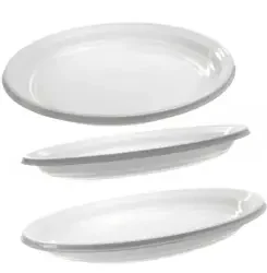 The Ultimate Guide to Choosing the Right Plates for Your Business