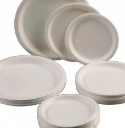 High-Quality Plates for Every Occasion at Tiger Bags LLC
